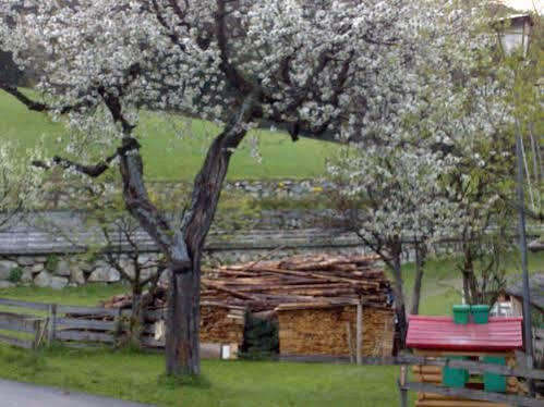 Residence Schneiderhof San Candido Eksteriør bilde
